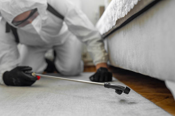 Professional Ant Control technician working in Assumption, IL