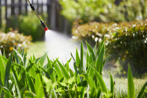 24/7 Emergency Ant Control experts in Assumption, IL