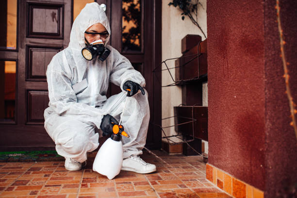 Reliable Ant Control contractor in Assumption, IL by Show Me Pest Control